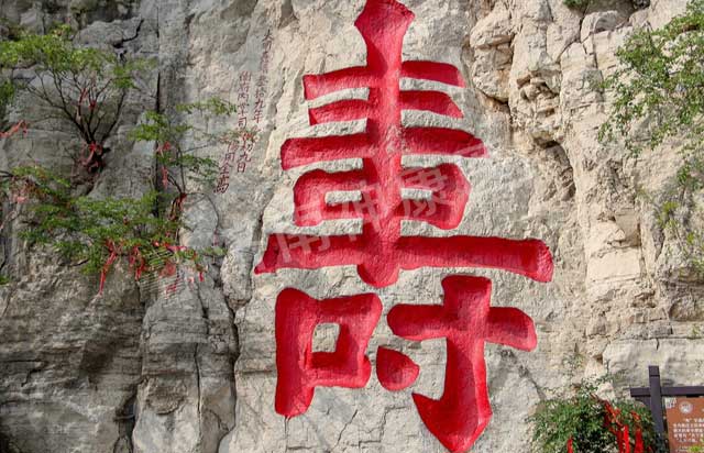 “约会春天 同心筑梦”济南神康医院组织员工青州一日游